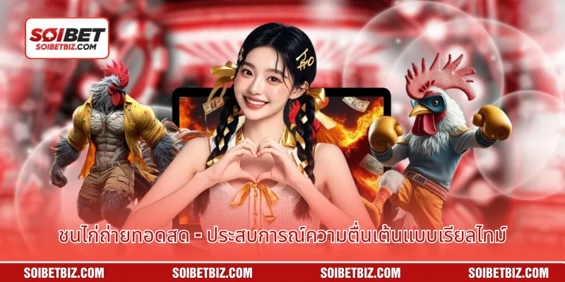 ชนไก่ถ่ายทอดสด