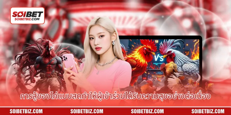 การสู้ของไก่แบบสดทำให้ผู้เข้าร่วมได้รับความสุขอย่างต่อเนื่อง